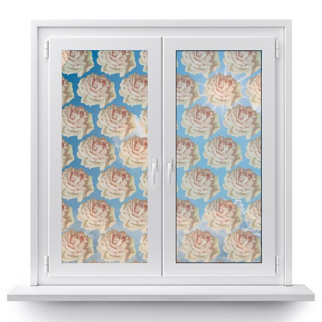 folia-samoprzylepna-okno-natura-róża-bez-liści